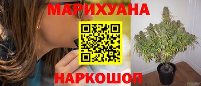 прущая мука Лесосибирск